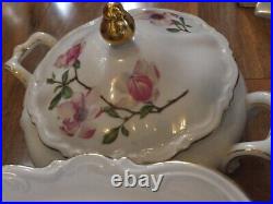 Rare Set of 94 pcs, Bavaria Magnolia flower gold rim dinnerware made in Germany