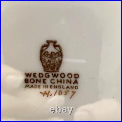 Rare Wedgwood Columbia Powder Green Dinner Plates #1057 12 Avail