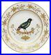 Richard-Ginori-Rare-Bird-Plate-New-Pattern-Aviarie-Bought-At-Bergdord-Goodman-01-wedu