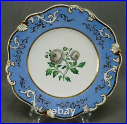 Rockingham Ranunculus Flower Blue & Gold Rococo Scrollwork 9 3/8 Inch Plate
