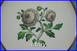 Rockingham Ranunculus Flower Blue & Gold Rococo Scrollwork 9 3/8 Inch Plate