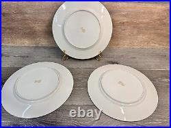 Rosedale 10.5Dinner Plate Gold Encrusted Border Floral Center Blue Bands 3 Pc