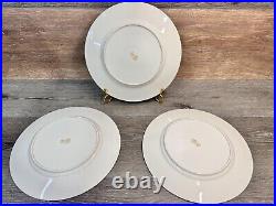 Rosedale 10.5Dinner Plate Gold Encrusted Border Floral Center Blue Bands 3 Pc