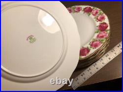 Royal Albert Old English Rose Dinner Plates set of 8 Brushed Gold Trim 10.5+ in