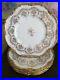 Royal-Cauldon-England-Kings-Plate-Set-Of-6-Porcelain-Dinner-Plate-Gold-Grape-01-vyti