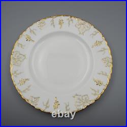 Royal Crown Derby Bone China VINE GOLD Dinner Plates Set of Twelve