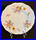 Royal-Crown-Derby-Derby-Posies-10-5-Dinner-Plates-4-01-xm