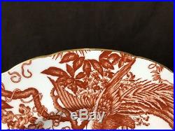Royal Crown Derby Red Aves Dinner Plate 10 1/2 Diameter Gold Rim MANY