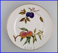 Royal Worcester, England. Five Evesham dinner plates in porcelain, 1980s