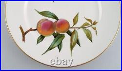 Royal Worcester, England. Five Evesham dinner plates in porcelain, 1980s