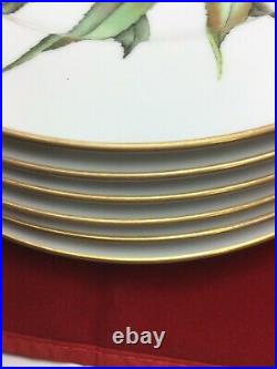 Royal Worcester Gold Trim Dinner Plates 10.1/8 Set of 6