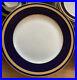 SET-7-Rosenthal-EMINENCE-5107-Cobalt-Blue-Gold-Laurel-Dinner-Plates-10-3-8-01-spr