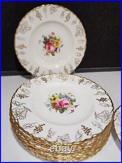 SET OF 12- Royal Crown Derby GOLD VINE Floral Decoration Dinner Plates