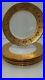 SIX-6-Royal-Bavarian-Hutschenruther-Selb-10-3-4-22K-Gold-Band-Dinner-Plates-01-cw