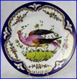 Samson Chelsea Bird Porcelain Cobalt & Gold Bird Insect Cabinet Plate j
