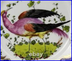 Samson Chelsea Bird Porcelain Cobalt & Gold Bird Insect Cabinet Plate j
