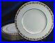 Set-Of-10-Wedgwood-Bone-China-Whitehall-Golden-Grapes-10-75dia-Dinner-Plates-01-dt