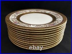 Set Of 11 Shelley Stle China Floral Basket Gold Encrusted 10 Dinner Plates