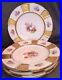 Set-Of-5-1926-Rostenhal-Continental-R3091-Dinner-Plate-Gold-Panel-Barrock-Floral-01-lzd