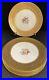 Set-Of-6-PICKARD-Dinner-Plates-11-Gilded-Decorated-In-U-S-A-Bavaria-Bohemia-01-jbi