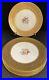 Set-Of-6-PICKARD-Dinner-Plates-11-Gilded-Decorated-In-U-S-A-Bavaria-Bohemia-01-pdn