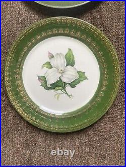 Set Of L'Triomphe Limoges Trillium Forest Green Filigree 22K Gold Dinner Plates