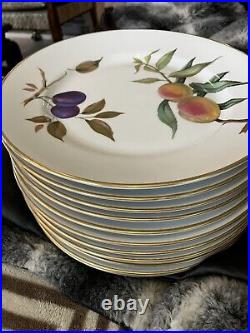 Set of 11 Royal Worcester Evesham Gold Dinner Plates 10 1/8 Plum Peach