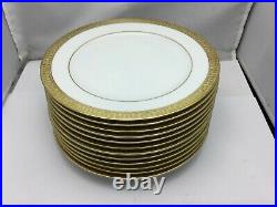 Set of 12 Gold Buffet Royal Gallery Dinner Plates 8.5 Diameter