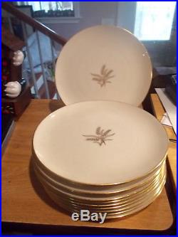 Set of 12 LENOX Wheat R 442 Dinner Plates withGold Trim Gold Wheat Center, Coupe