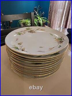 Set of 12 Wentworth China Japan Eterna Shape Autumn Dinner Plates Gold Trim