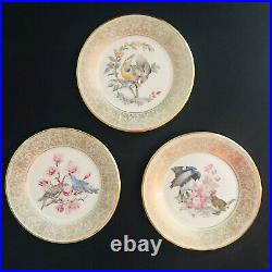 Set of 13 Lenox Boehm Bird Annual Dinner Plates Limited Edition Vintage