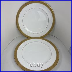 Set of 2 Waterford Fine China KELLS GOLD Dinner Plates