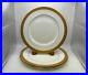 Set-of-4-Waterford-Fine-China-KELLS-GOLD-Dinner-Plates-01-tkjz