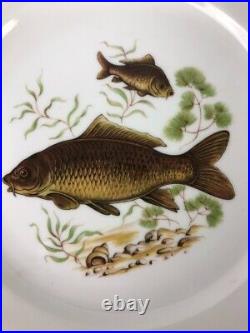 Set of 6 Luisenburg Barvaria Dinner Plates White Fish Motif Gold Trim Scalloped