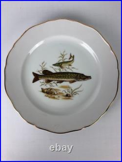 Set of 6 Luisenburg Barvaria Dinner Plates White Fish Motif Gold Trim Scalloped