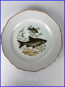 Set of 6 Luisenburg Barvaria Dinner Plates White Fish Motif Gold Trim Scalloped