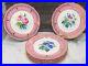 Set-of-6-Vintage-Pink-Rim-and-Gold-Hand-Painted-Floral-Porcelain-Plates-9-01-tsxm