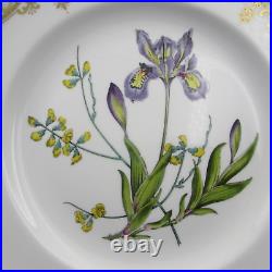 Spode Bone China STAFFORD FLOWERS Dinner Plates Set of Two