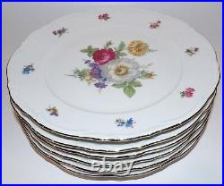 Stunning Set 6 Mitterteich Bavaria Germany Meissen Floral 10 5/8 Dinner Plates