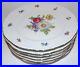 Stunning-Set-6-Mitterteich-Bavaria-Germany-Meissen-Floral-10-5-8-Dinner-Plates-01-cy