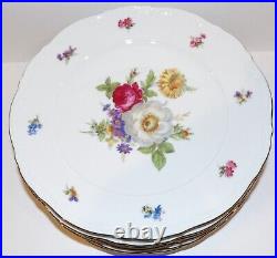 Stunning Set 6 Mitterteich Bavaria Germany Meissen Floral 10 5/8 Dinner Plates