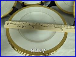 Syracuse China Bracelet Set of 10 Dinner Plates 10 1/4