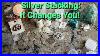 Taking-A-Look-Back-After-Stacking-Silver-01-fq
