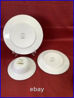 The Golden Rabbit Picnic Bowls, Plates, Jean Wilkes Ladybug 1999 Set of 18