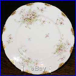 Theodore Haviland Limoges France Double Gold Dogwood SIX 9 Dinner Plates