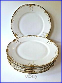 Theodore Haviland Limoges France White & Gold Scrolls Dinner Plates 9 3/4 Set 6