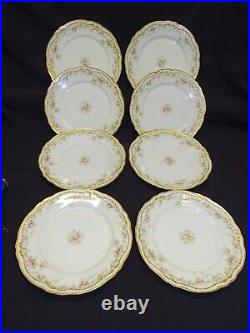 Theodore Haviland Set of 8 Dinner Plates 9 1/2 Schleiger 855a for S. C. Co