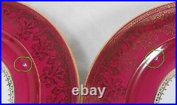 Thomas Bavaria Porcelain Dinner Plates Vintage Set (11) Floral Burgundy Gold