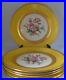 Thomas-Bavaria-Set-Of-7-Dinner-Plates-Gold-Yellow-Flower-Decoration-01-mrbz