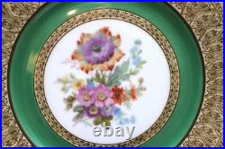 Tirschenreuther TIR170 Pattern Set of 12 Dinner Plates 10.75 Green Floral Gold Tirschenreuther TIR170 Pattern Set of 12 Dinner Plates 10.75 Green Floral Gold